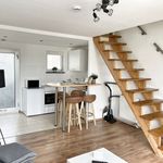 Miete 3 Schlafzimmer wohnung von 50 m² in Braunschweig