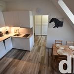 Rent 3 bedroom apartment of 65 m² in Karlovy Vary