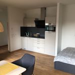 Rent 1 bedroom apartment of 36 m² in Ulm
