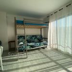 Rent 1 bedroom apartment of 20 m² in Canet-en-Roussillon