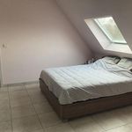 Rent 2 bedroom apartment in Damme