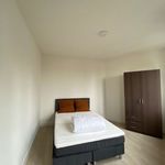 Rent 2 bedroom apartment of 45 m² in Haarlem