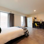 Rent 1 bedroom student apartment in Dublin