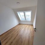 Miete 2 Schlafzimmer wohnung von 37 m² in Hollabrunn