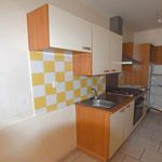 Rent 1 bedroom apartment in Laroque-d'Olmes