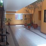 Rent 3 bedroom apartment of 135 m² in Coyoacán