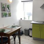 Rent 1 bedroom apartment of 25 m² in La Roche-Posay