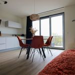 Rent 1 bedroom apartment of 75 m² in Vianen
