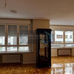 Rent 4 bedroom apartment of 150 m² in Viguera