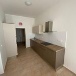 Rent 1 bedroom apartment of 767 m² in České Budějovice