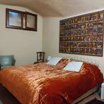 Rent 1 bedroom apartment of 70 m² in Firenze