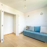 Rent 1 bedroom apartment of 33 m² in Bielsko-biała