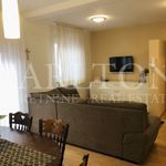 Rent 5 bedroom apartment of 120 m² in Zagreb