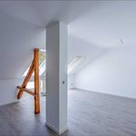 Miete 1 Schlafzimmer wohnung von 53 m² in Meissen