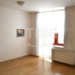 Rent 1 bedroom apartment of 24 m² in Ostrava