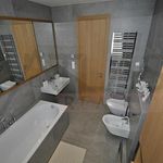 Rent 4 bedroom apartment of 250 m² in Prague