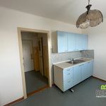 Rent 1 bedroom apartment of 31 m² in Uherské Hradiště