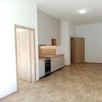 Rent 1 bedroom apartment of 50 m² in Adamov