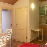 Affitto 1 camera appartamento di 33 m² in Sienna