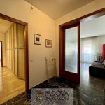 Rent a room of 170 m² in Padova