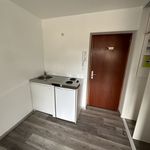 Rent 2 bedroom apartment of 24 m² in La Forêt-sur-Sèvre