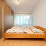 Rent 2 bedroom apartment of 51 m² in Ostrava