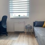 Rent 3 bedroom apartment of 56 m² in Wrocław