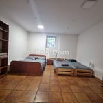 Rent 1 bedroom apartment of 15 m² in Krakow