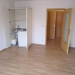 Rent 1 bedroom apartment of 23 m² in Nürnberg