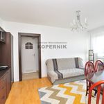Wynajmij 2 sypialnię apartament z 38 m² w Toruń