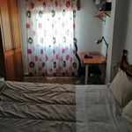 Alquilar 3 dormitorio apartamento en Palma de Mallorca