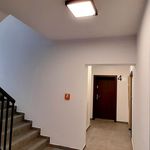 Rent 3 bedroom apartment of 66 m² in Poznań
