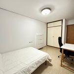 Rent 6 bedroom apartment in Castellón de la Plana