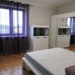 Rent 3 bedroom apartment of 90 m² in Ząbki