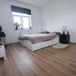 Rent 1 bedroom apartment of 54 m² in Milovice