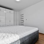 Rent 1 bedroom house of 70 m² in Číhošť
