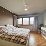 Rent 3 bedroom house in Hamme