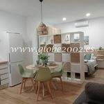Rent 1 bedroom apartment of 35 m² in San Fernando