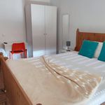 Rent 12 bedroom house in Lisbon