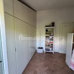 Rent 5 bedroom house of 130 m² in Carpi