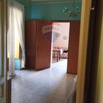 Rent 3 bedroom apartment of 100 m² in Vittoria