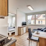 Rent 15 bedroom apartment of 27 m² in München