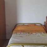 Rent a room of 55 m² in Antas