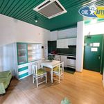 Rent 2 bedroom apartment of 55 m² in Montignoso