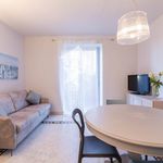 Rent 1 bedroom apartment of 55 m² in Alassio