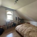 Rent 3 bedroom house in Peer