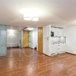 Rent 1 bedroom house of 230 m² in Praha