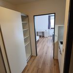 Rent 1 bedroom apartment of 30 m² in Ulm