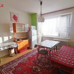 Rent 1 bedroom apartment of 39 m² in Svitavy