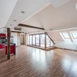 Rent 1 bedroom apartment of 214 m² in Praha